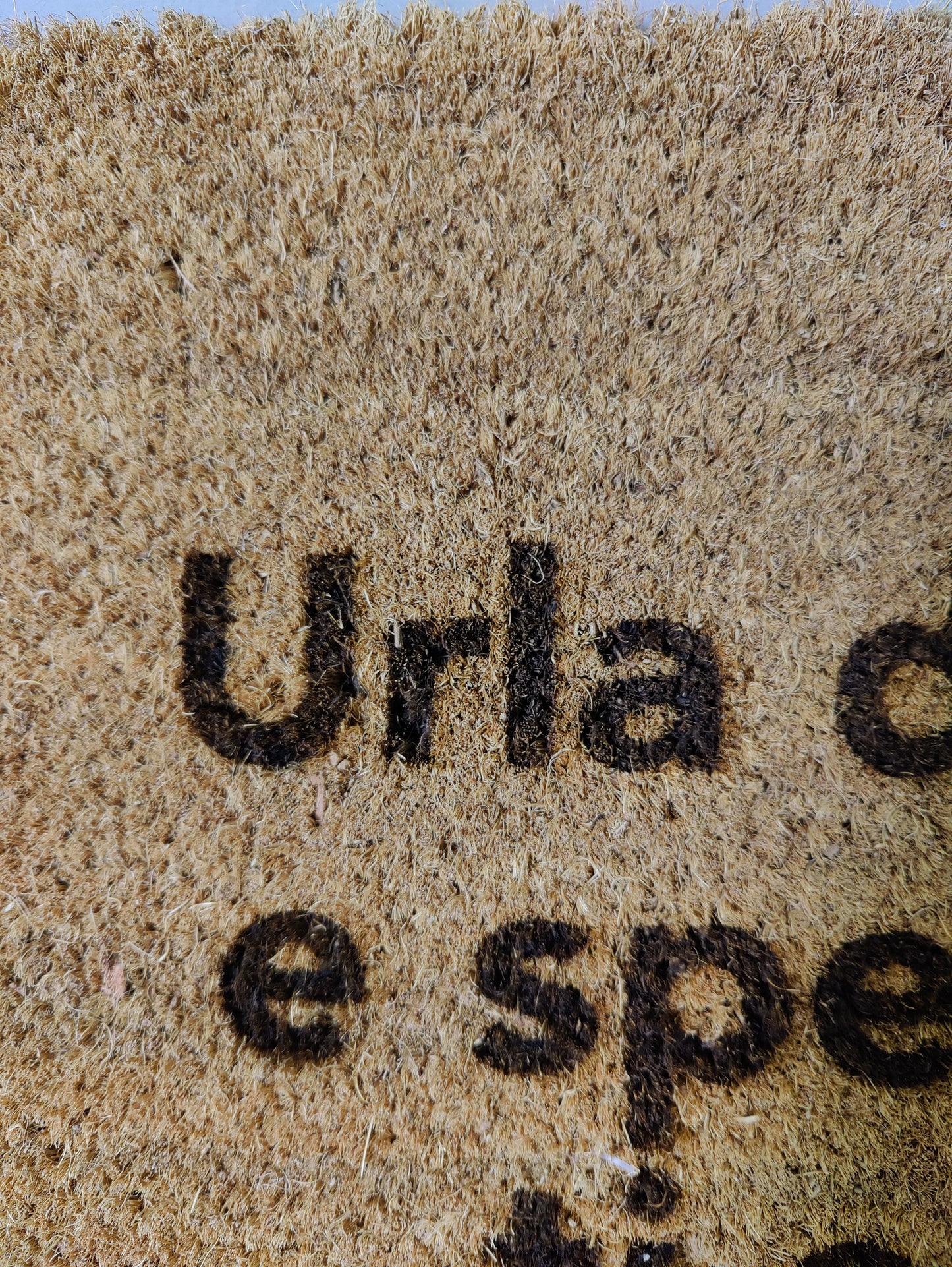 Zerbino "Urla din don e spera che ti senta" (bruciacchiato)