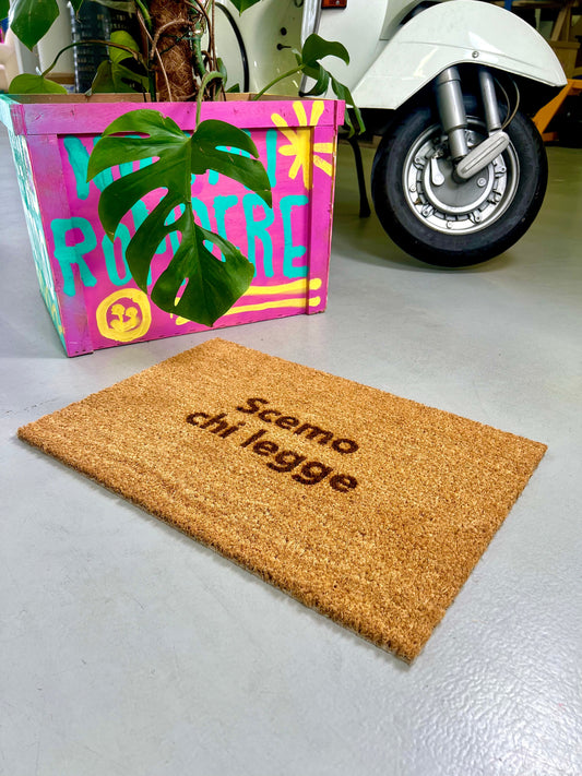 Zerbino "Scemo chi legge"