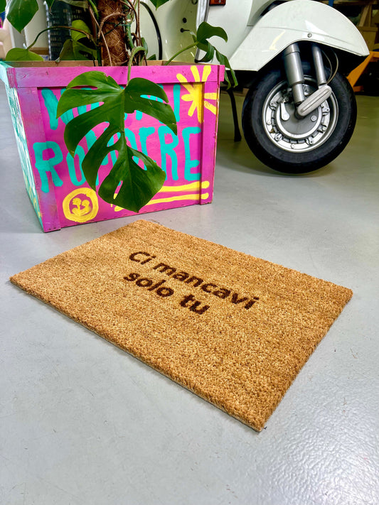 Zerbino "Ci mancavi solo tu"