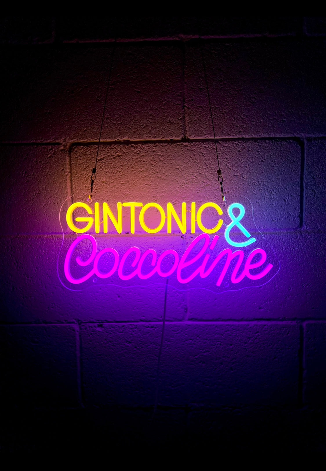 GINTONIC & COCCOLINE – Insulti Luminosi