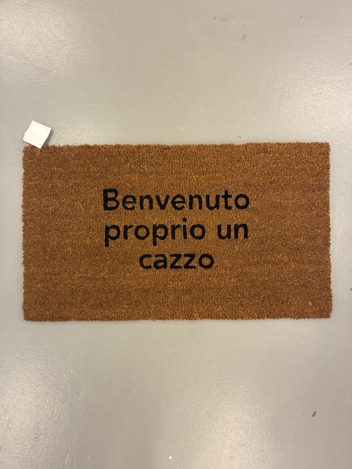 Zerbino "Benvenuto proprio un cazzo"