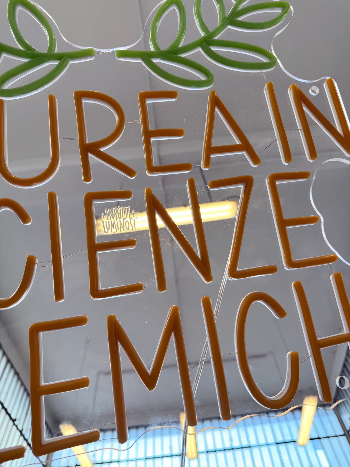 LAUREA IN SCIENZE POLEMICHE (graffiata + led bruciato)