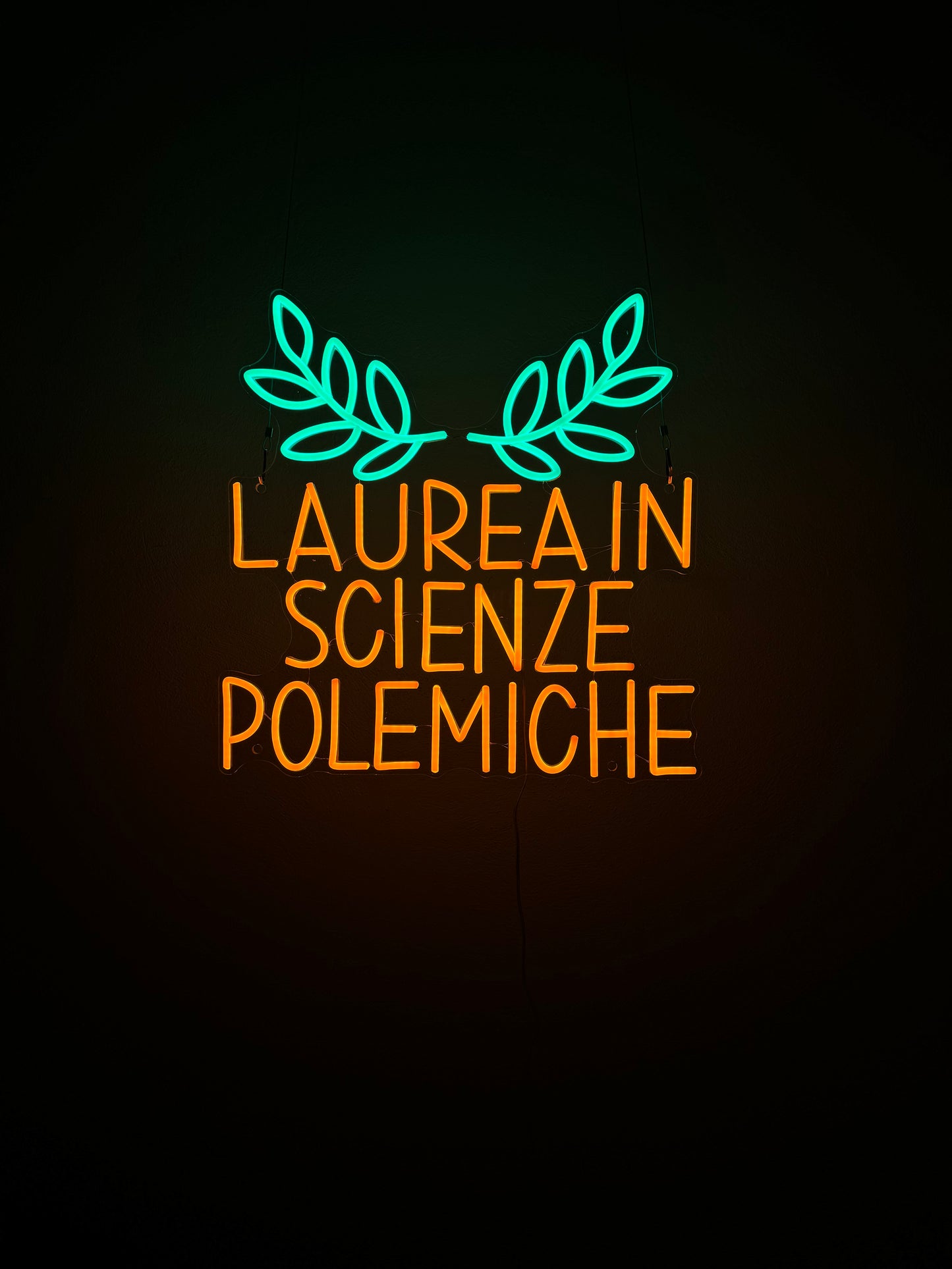 LAUREA IN SCIENZE POLEMICHE