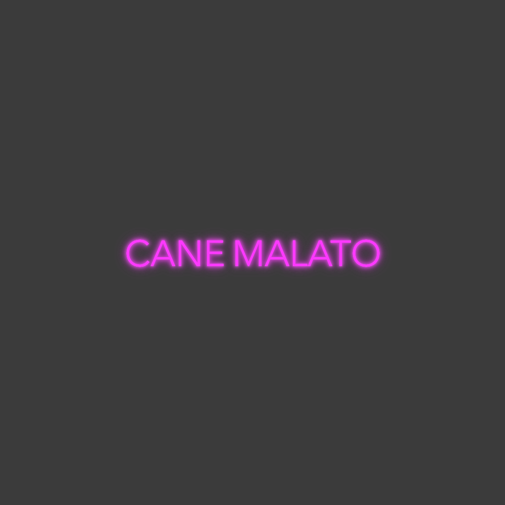 La tua scrittina CANE MALATO