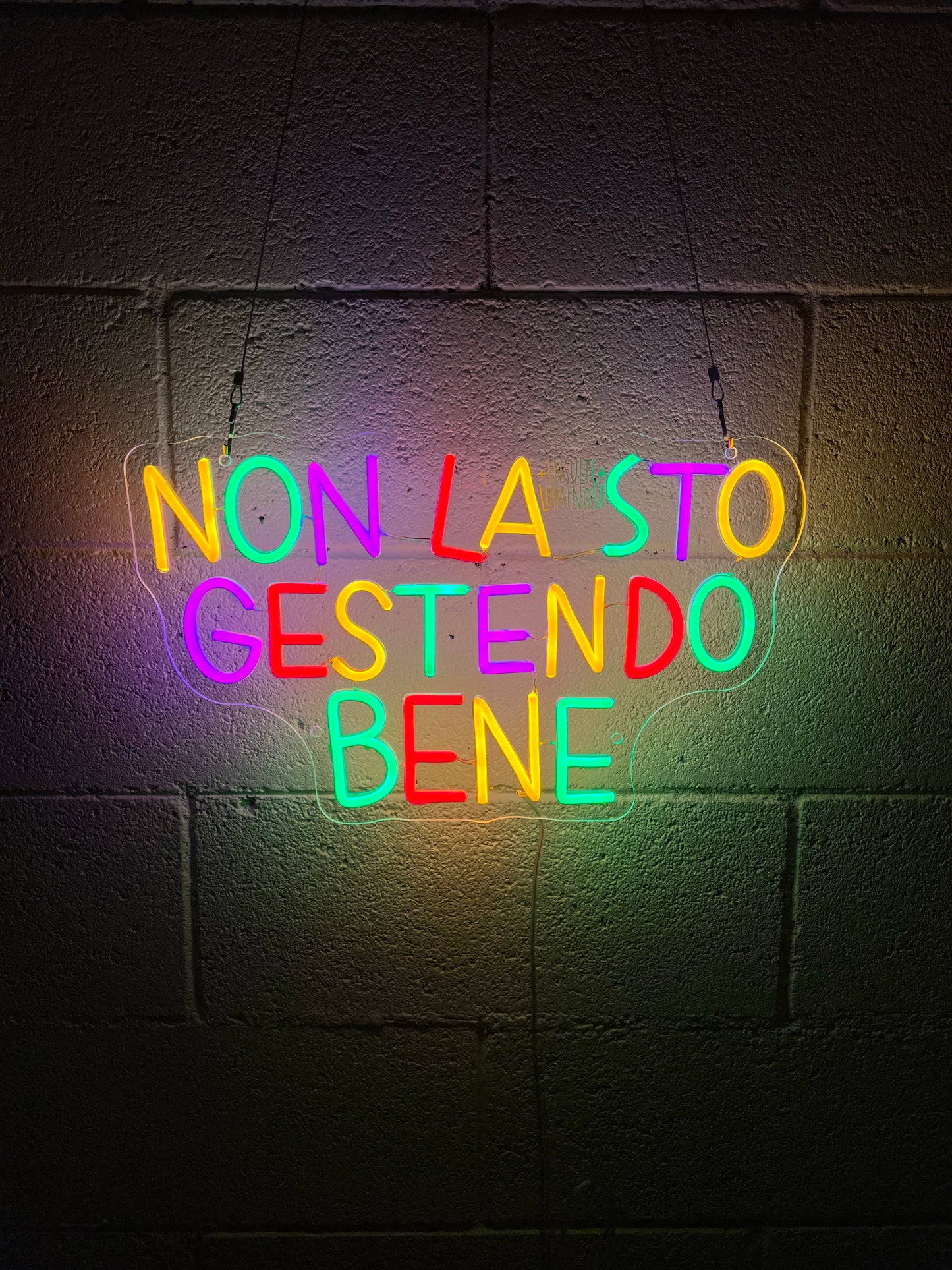 NON LA STO GESTENDO BENE