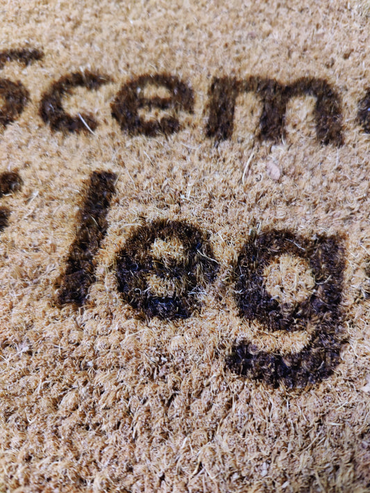 Zerbino "Scemo chi legge" (bruciacchiato)