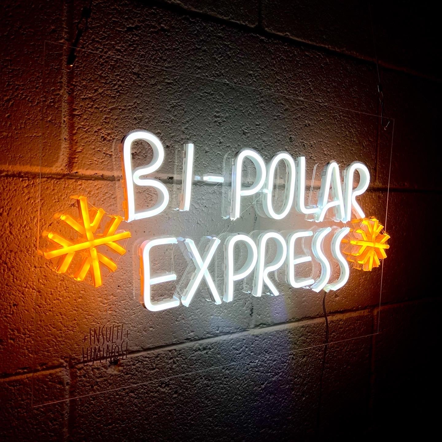 BI-POLAR EXPRESS