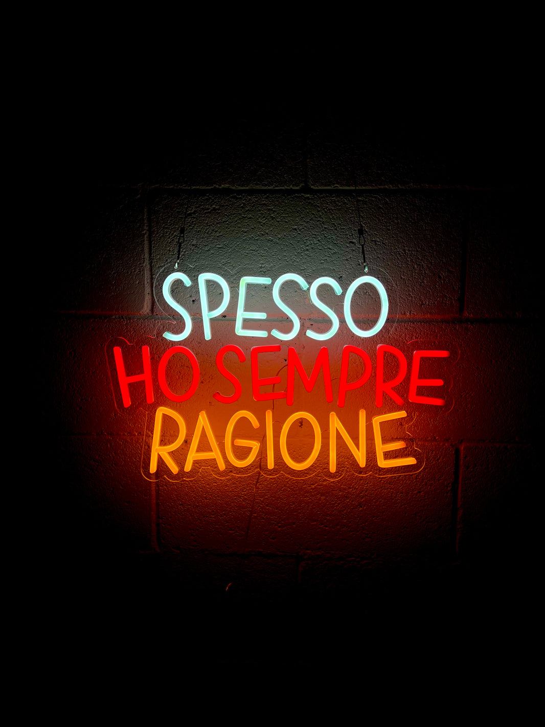 SPESSO HO SEMPRE RAGIONE Insulti Luminosi spesso-ho-sempre-ragione-insulti-luminosi