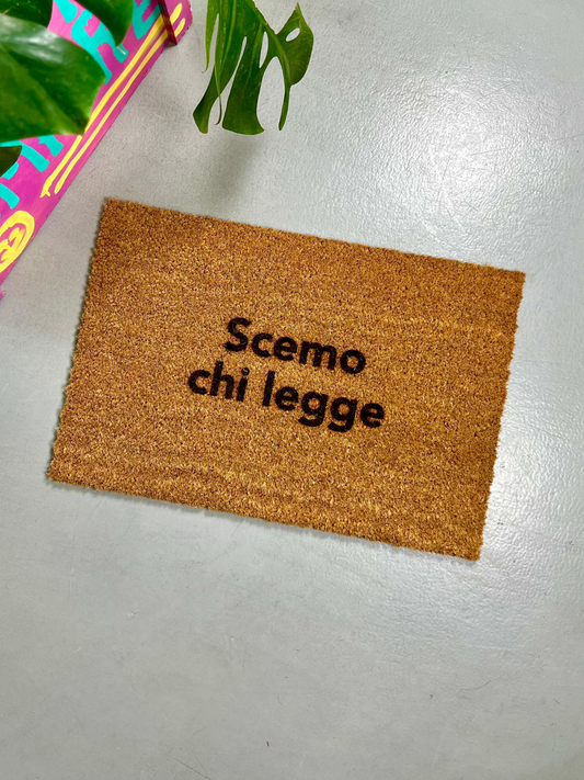 Zerbino "Scemo chi legge"