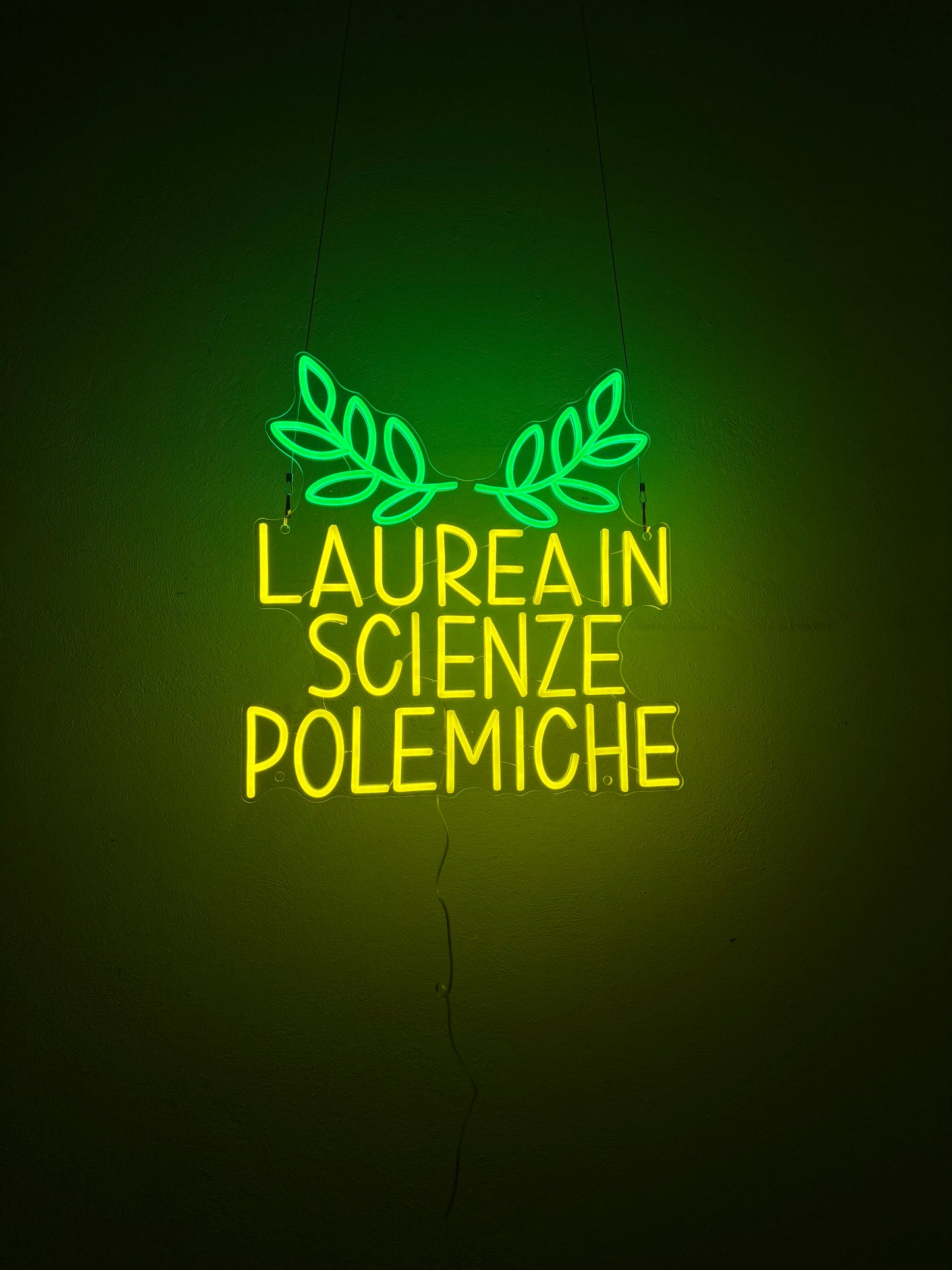 LAUREA IN SCIENE POLEMICHE (con graffi)