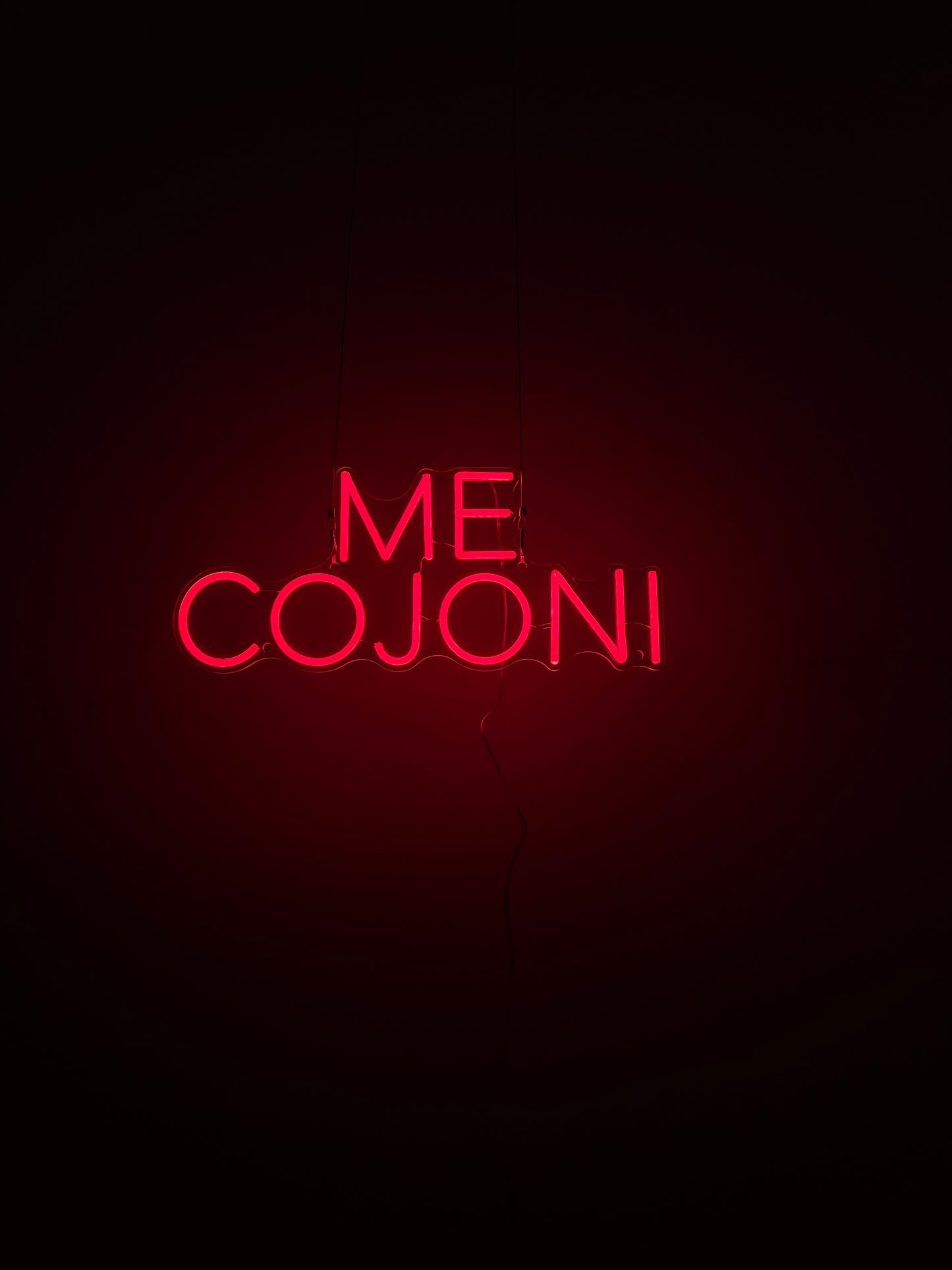 ME COJONI (con graffi)