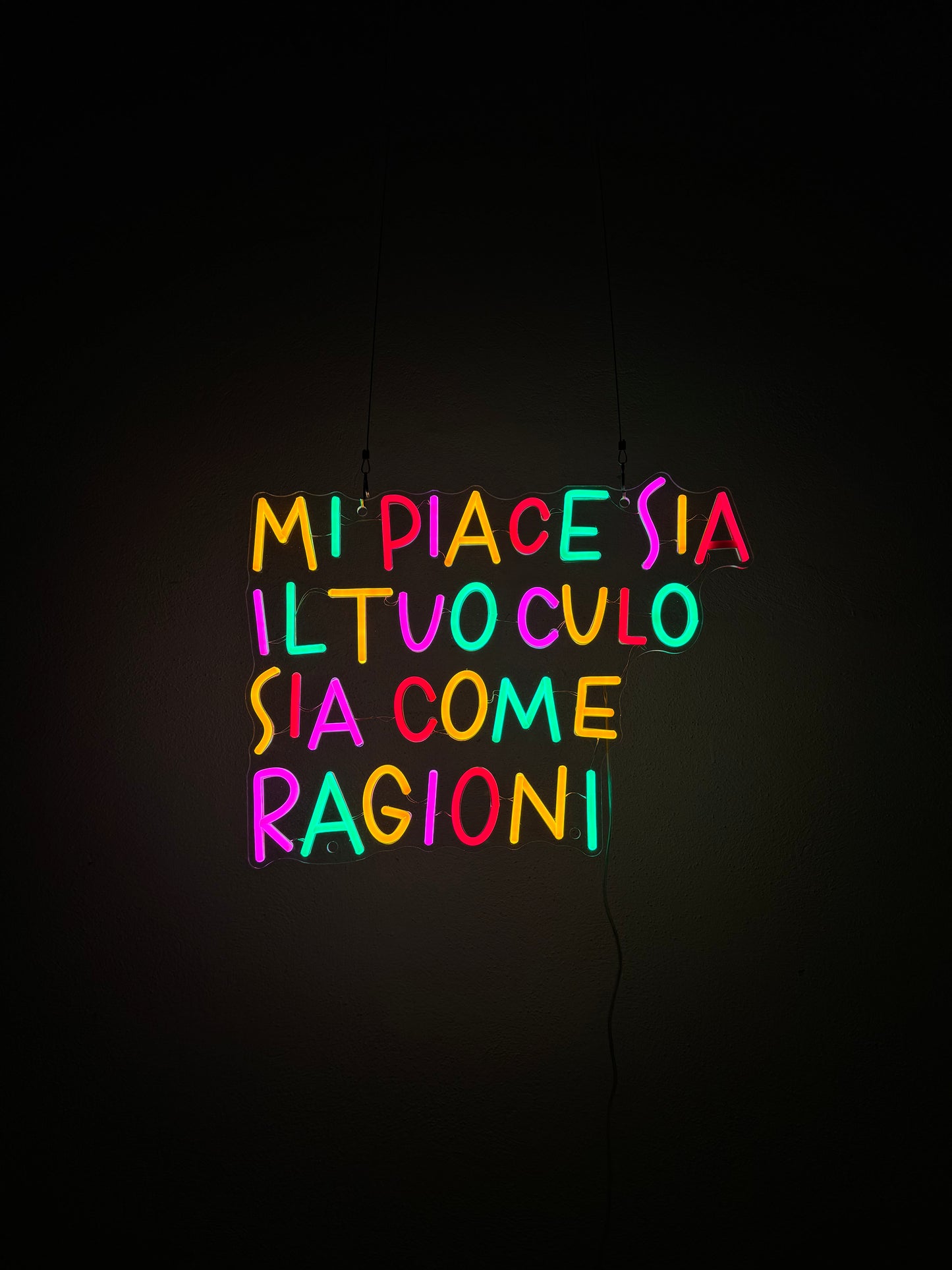 MI PIACE SIA IL TUO CULO SIA COME RAGIONI (bruciacchiato)