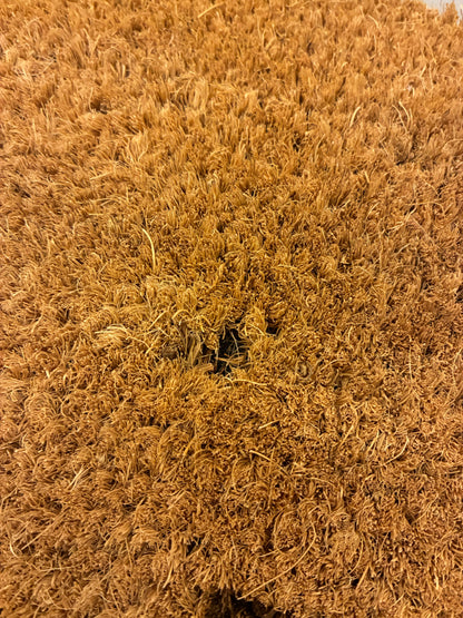 Zerbino "Non c'è nessuno" (spelacchiato)