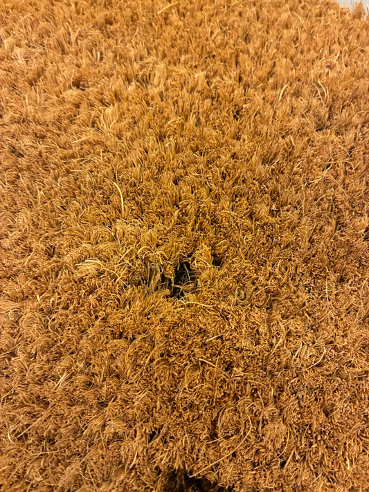 Zerbino "Non c'è nessuno" (spelacchiato)