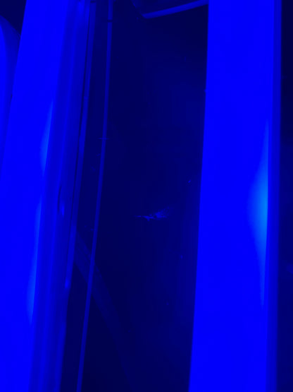 ESAURITA (graffiata)