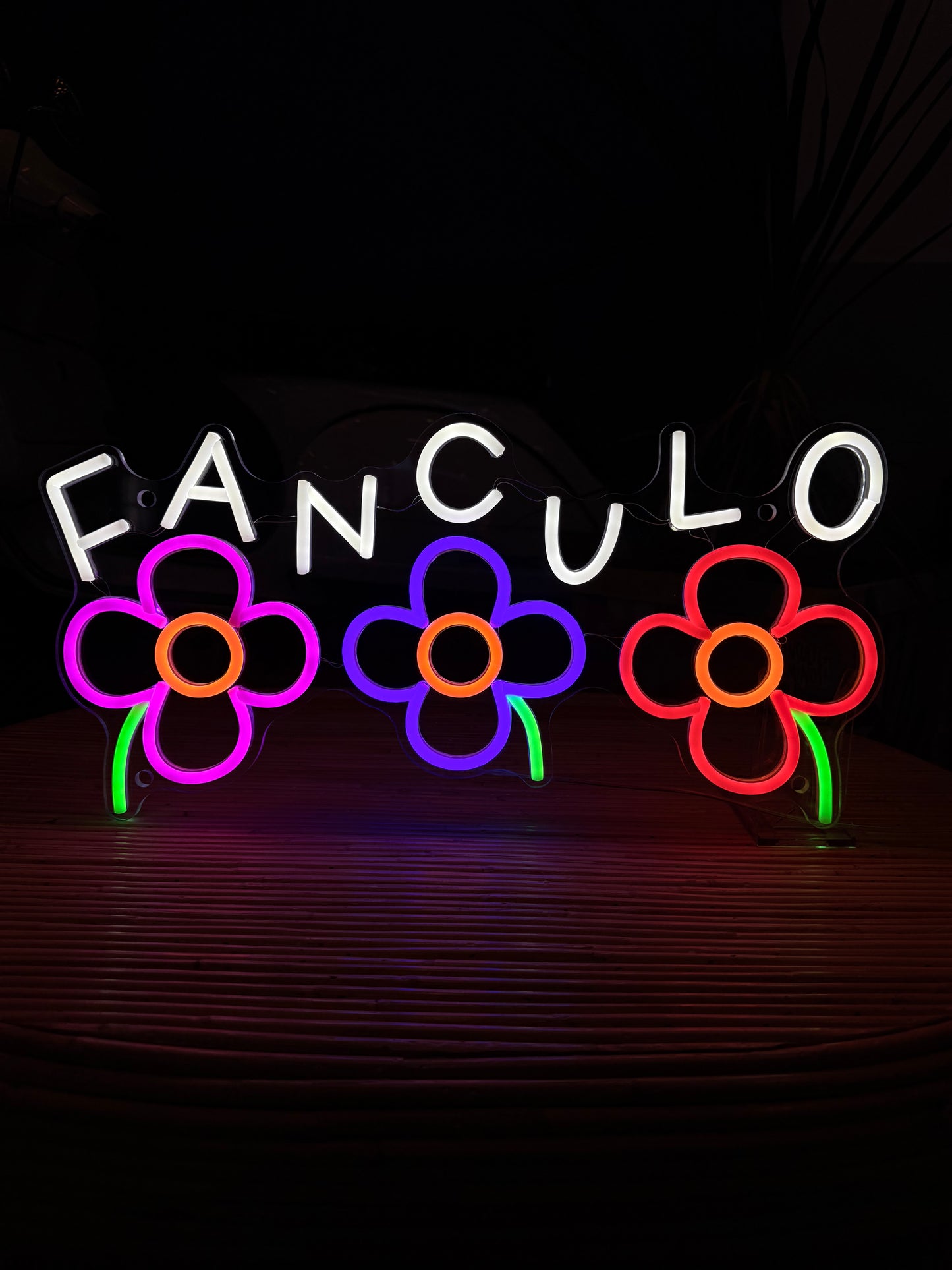 FANCULO (graffiata)