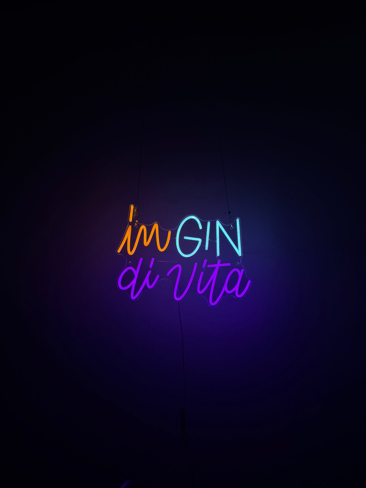 IN GIN DI VITA (con graffi)