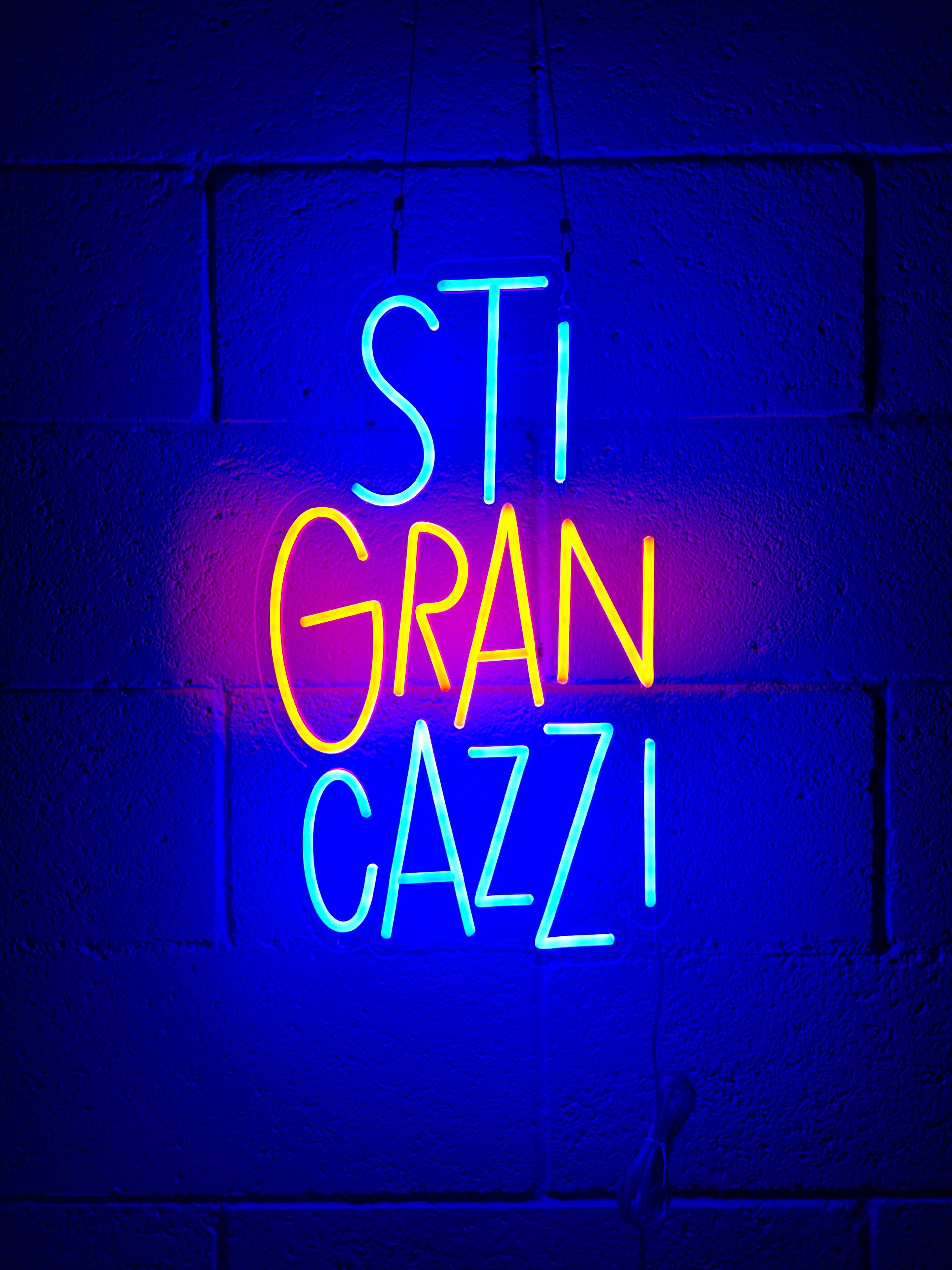 STI GRAN CAZZI – Insulti Luminosi