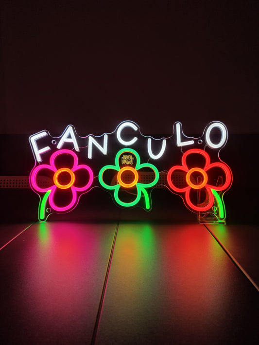 FANCULO (cambia colore)