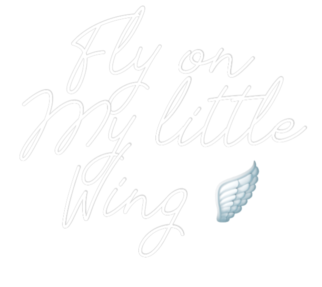 La tua scrittina Fly on
My li...