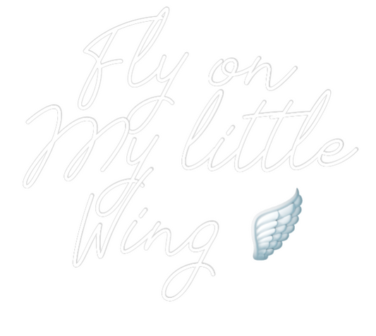 La tua scrittina Fly on
My li...
