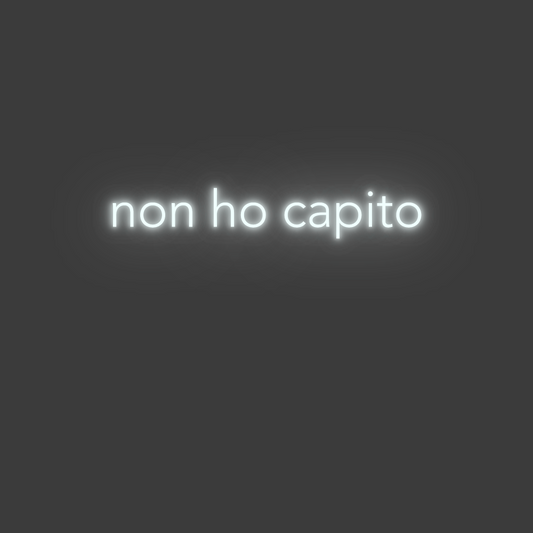 La tua scrittina non ho capito