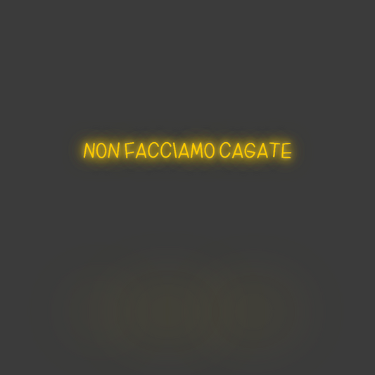 La tua scrittina Non facciamo ...
