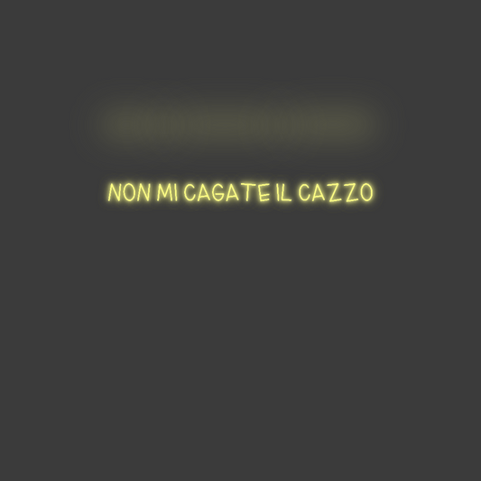La tua scrittina NON MI CAGATE...