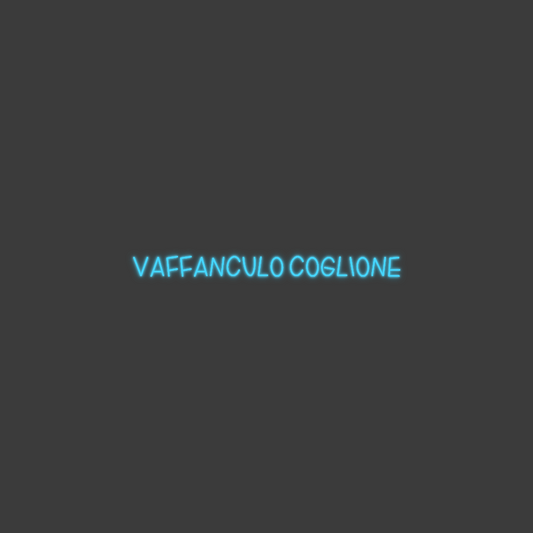 La tua scrittina Vaffanculo co...